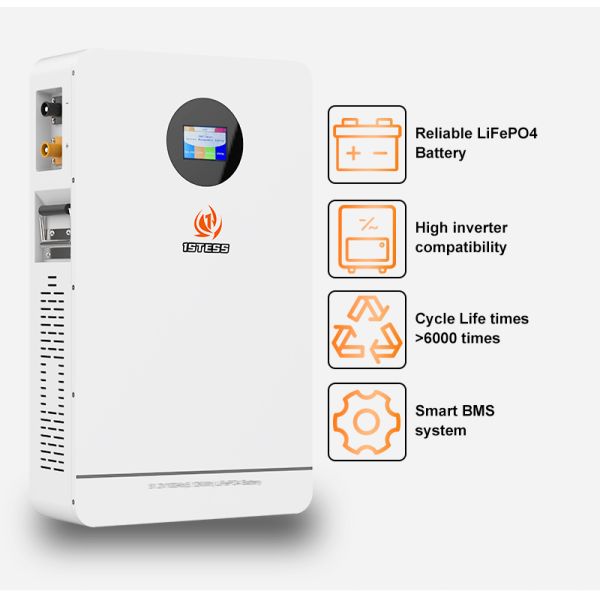 High Capacity 100Ah 51.2V Wall Battery with Intuitive Touch Screen Control