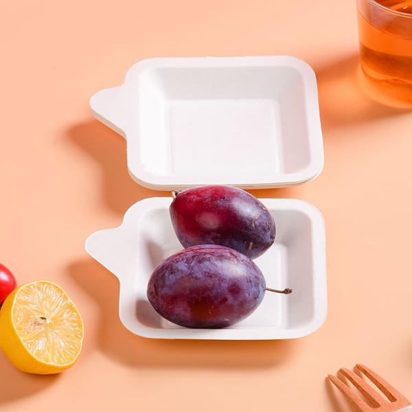 Biodegradable Disposable Paper Plates for Cake/ Fruit/ Salad Initial Payment Required