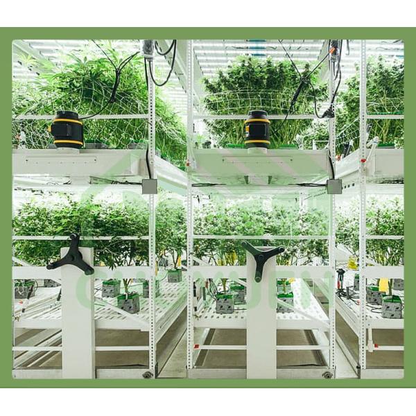 Multi-purpose Grow Racks Electrostatic Powder Coating Medium Duty Racking system