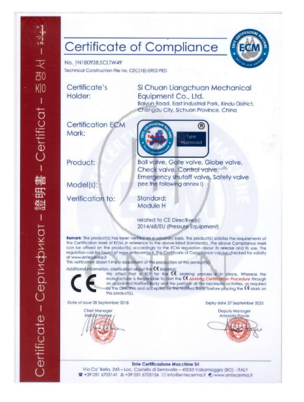 BW Cryogenic Check Valve DN10-100mm