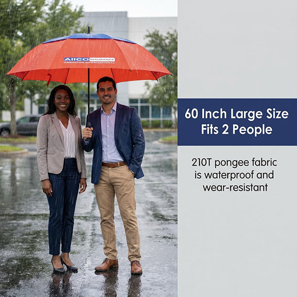 60 inch double canopy umbrella