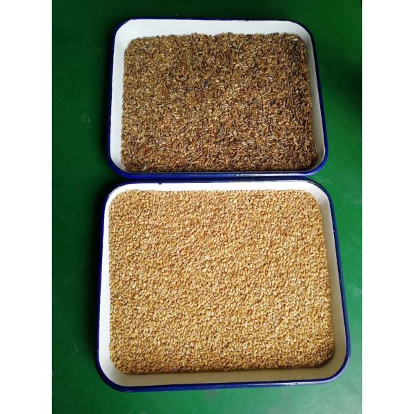 220V 50HZ Corn Bean Wheat Color Sorting Machine High Sorting Accuracy