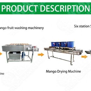 Fruit Vegetable Pulp Processing Machines Leafy Vegetable Washing Machine Machine