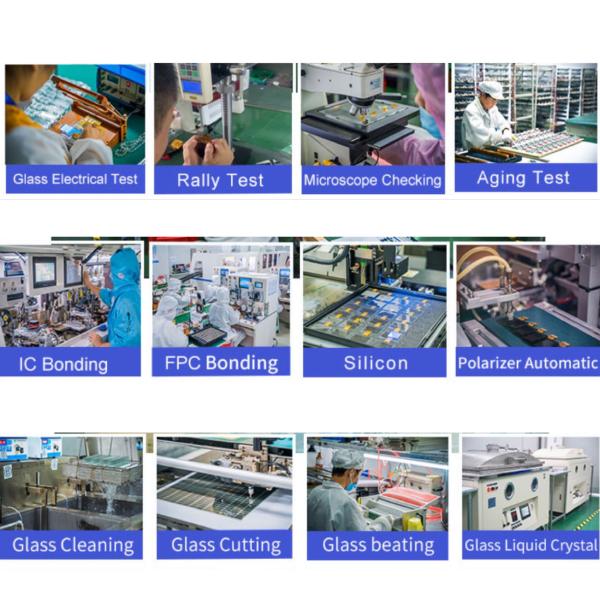 240*128 DOTS ROHS FSTN 3V Parallel LCD Display Module STN YG/Blue Lcd Backlight Module