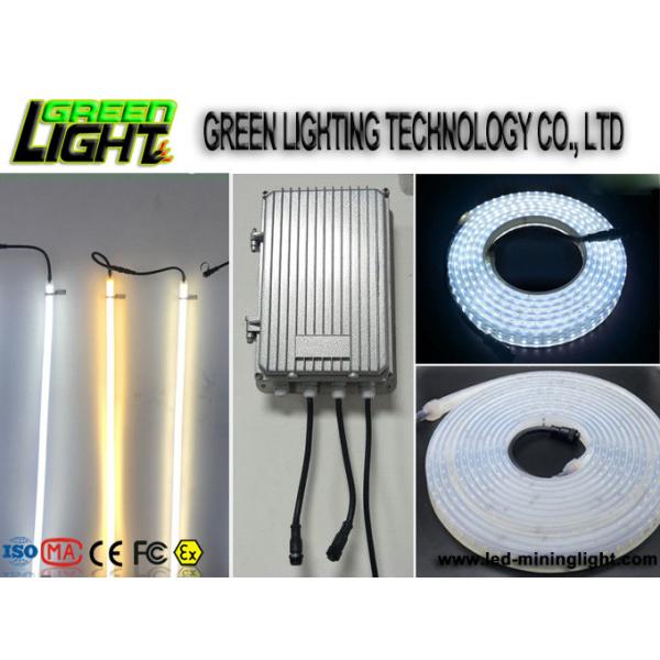 Silicone 12w Ip68 SMD5050 Flexible Led Light Strips