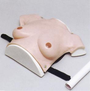 Quality Female upper body hospital simulator modreate size breast for breast tumor examination for sale