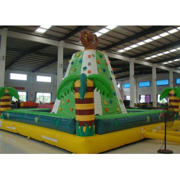 Funny Monkey Inflatable Rock Climbing Wall Challenging For Outdoor Activities