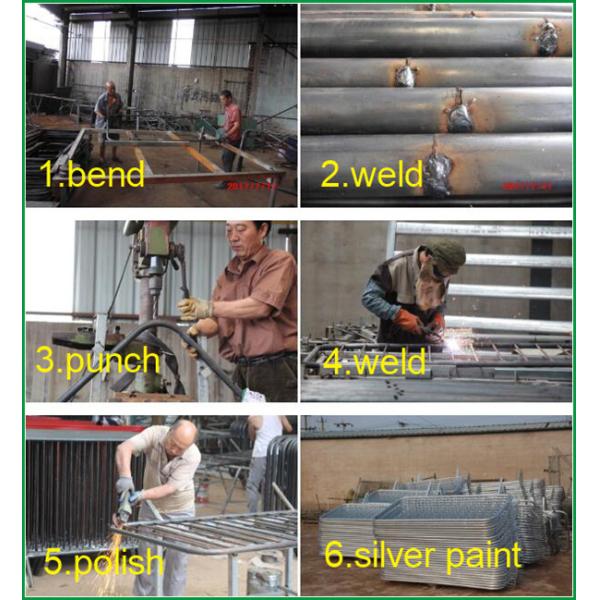 Movable Crowd Barrier Fence Hot Dipped Galvanized / PVC coated type