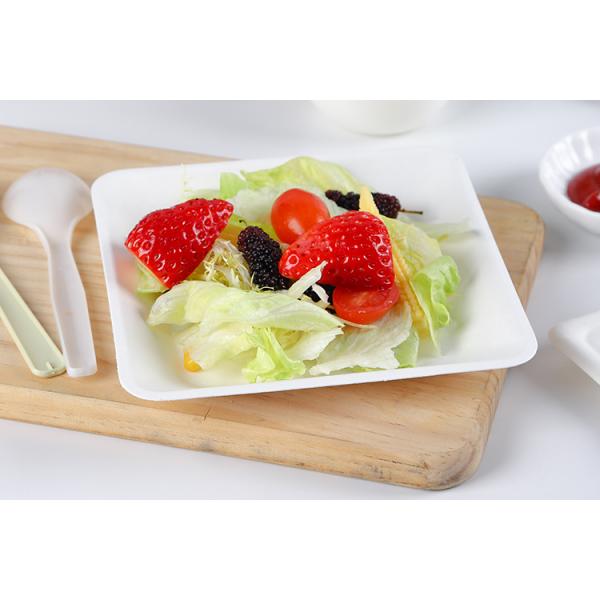 8" Compostable bagasse square dinner dessert Plates
