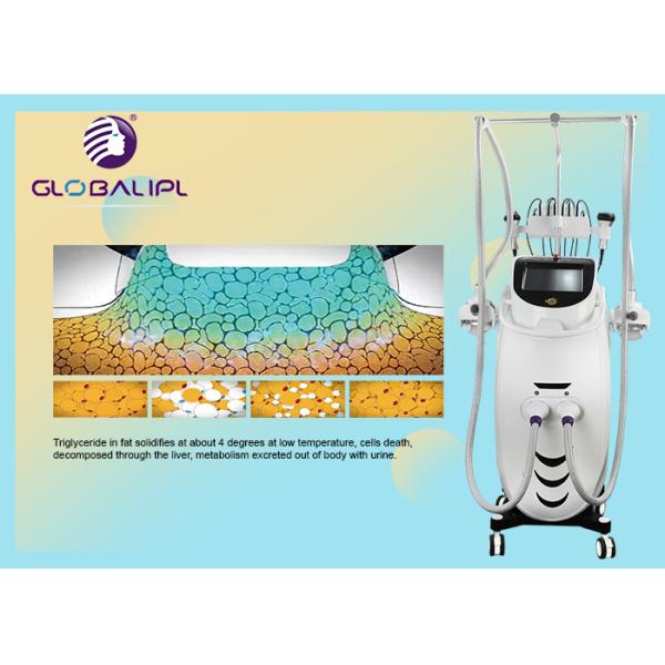Five Handles Double Chin Fat Freezing Machine Criolipolisis Cellulite Machine
