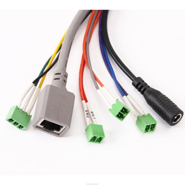 Customized Design 20AWG Wire Harness with 100% Testing Inspection and RoHS Certification