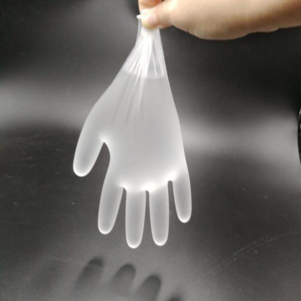 Processing Powder Free Multi Purpose Cpe Disposable Gloves