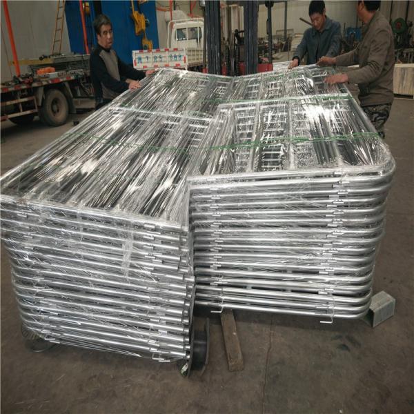 Cattle Panels 50mm * 50mm RHS * 1.6mm thickness