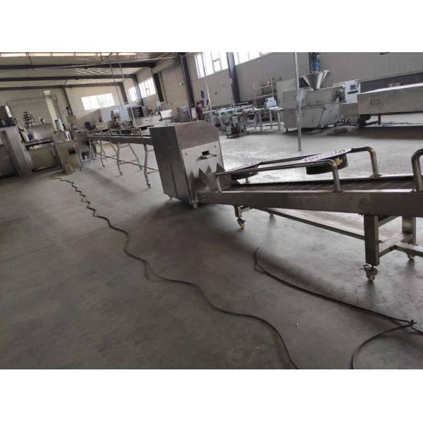 SS 45kw Dog Chews Processing Machine With Extruder