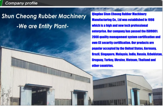 Duplex curing press，Double Vulcanizing Press