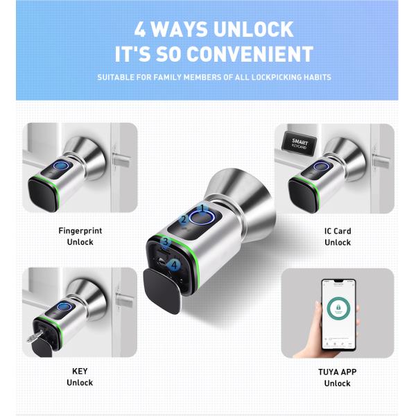 Black Silver Passcode TUYA APP Deadbolt Door Lock Wifi Network Reader Dimension 42*42mm
