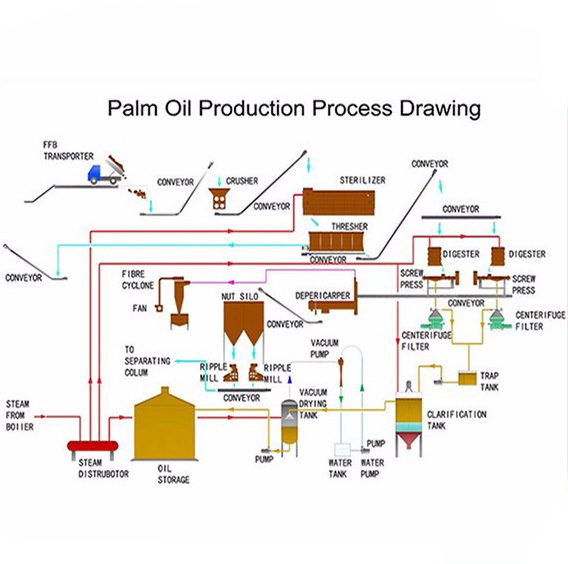 High Capacity Palm Oil Processing Machine Malaysia for Cold Hot Pressing Production