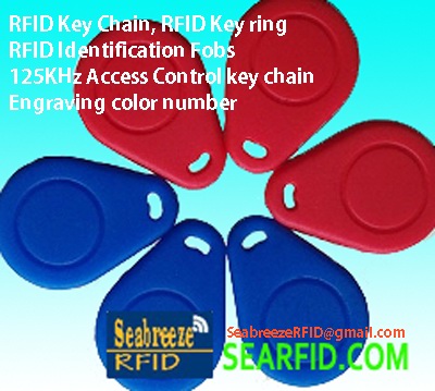 EM4102 Chip RFID Access Control Keychain, 125KHz Fobs, ID & IC Identification Key ring, RFID Entrance Guard Key chain