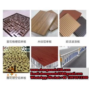 Suspended Ceiling Building Material Perforated Metal Wire Mesh for Gymnasium