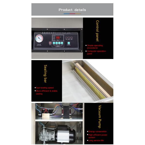 DZ-400/2SA Multi-function Double Chamber Vacuum Sealer for Frozen Fish Meat Fruit