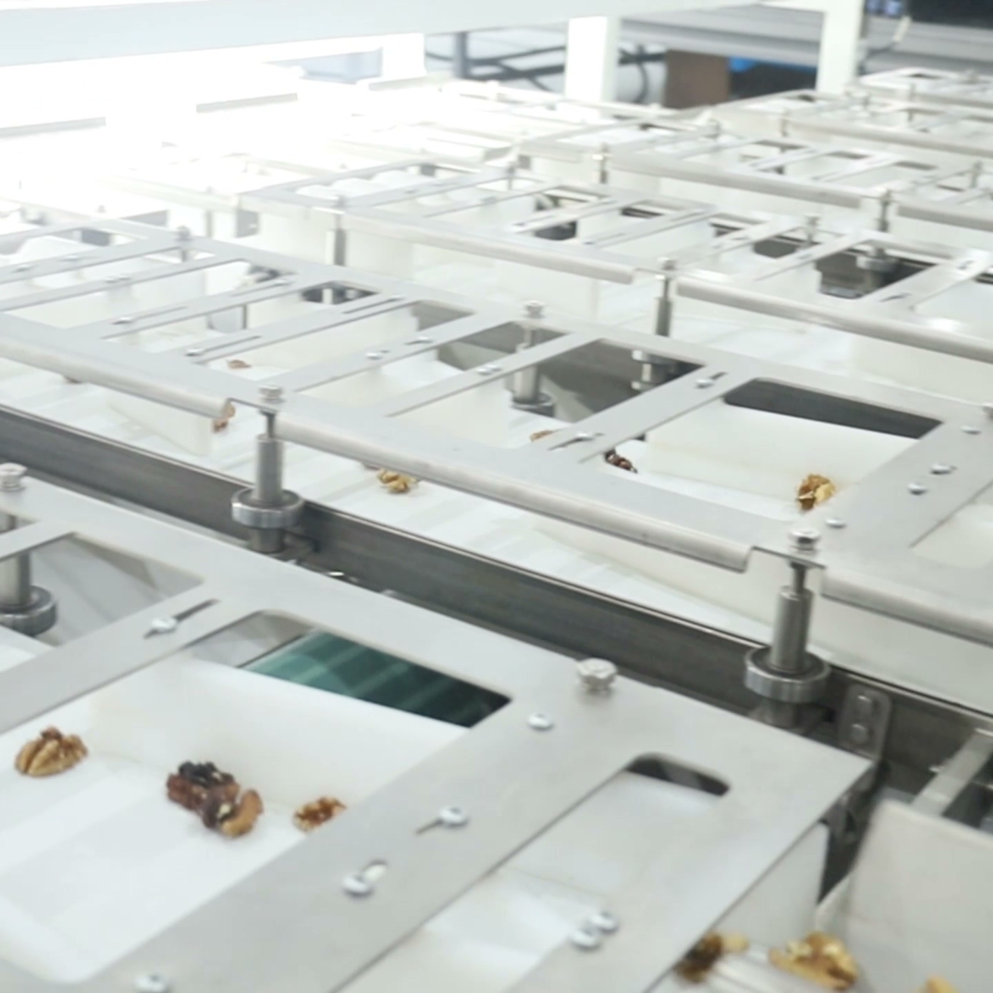Quick walnut kernel sorting machine with 8-camera redundant coverage and deep