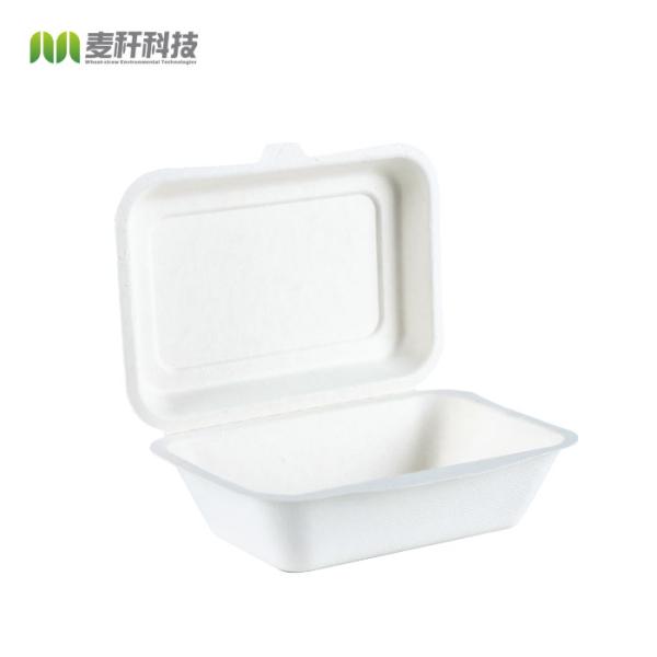 Sugarcane pulp paper packaging burger box container