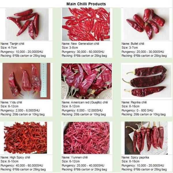 High Spicy Stemless Dried Red Chilli Peppers Halal Approved