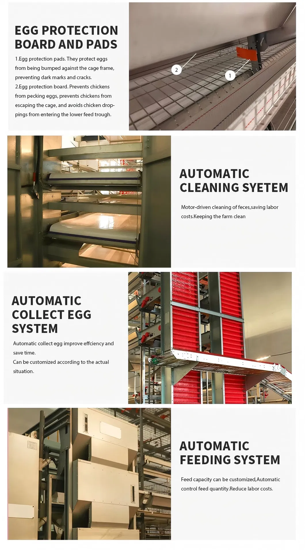 Full Automation H Type Poultry Layer Battery Cage with Multi Layer Vertical Design