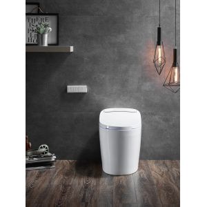 Advanced Function Automatic Deodorization Toilet Integrated Multi-Function