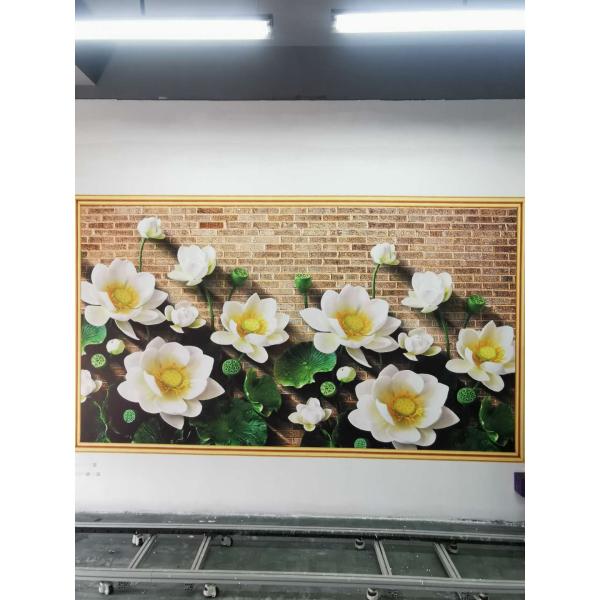 Water Based Ink CE ROHS CMYK 3D Wall Inkjet Printer