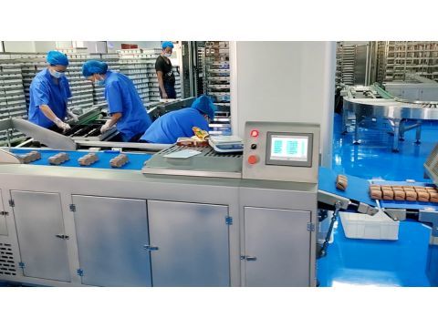 Rye and Whole Wheat Toast Supply for Healthy Bread Distributors