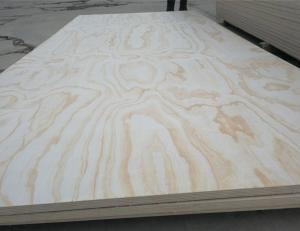 Quality plywood pine fancy plywood 18mm from SHOUGUANG QIHANG INTERNATIONAL TRADE CO.,LTD for sale