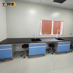 Quality Floor Standing Structure Lab Wall Bench for Modern Testing Modern Function for sale