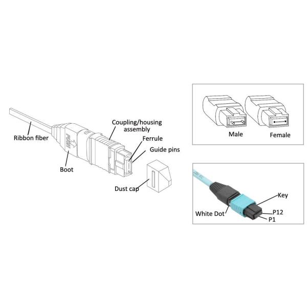 12F 24F OM3 OM4 Plenum MTP MPO Fiber Trunk Cable