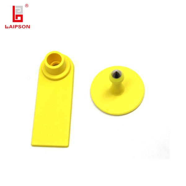 Sheep Ear Tags Made From Polyether TPU With Custom Laser Printing And Multiple Color Options For Easy Identification