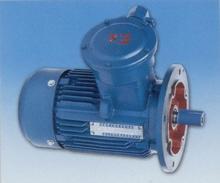 YUANTAI High Strength BCD Explosion-proof Wire Rope Electric Hoist