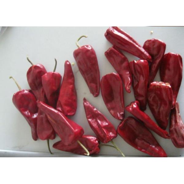 Stemless Red Jinta Chilli Pepper HACCP KOSHER Standard