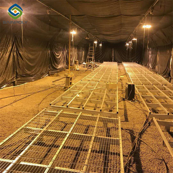 Customization Automated Light Dep Greenhouse Large Size 3 Layers