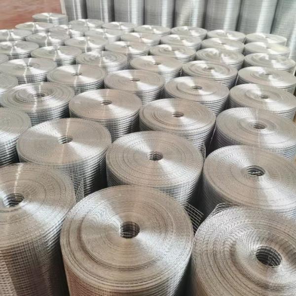 Protective Net Smooth Surfacestainless Steel Welded Wire Mesh Rolls BWG21 For Bird Cages