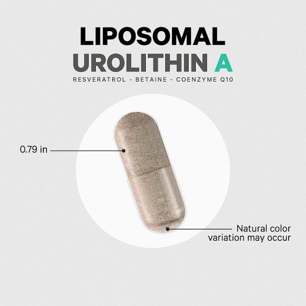 Health supplements Urolithin A Capsules customized