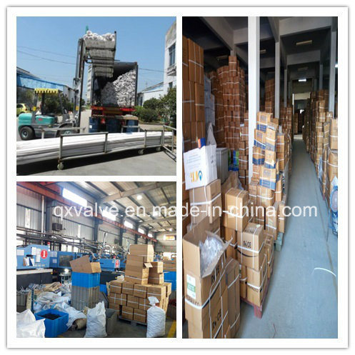 ANSI Standard Plastic Fitting for Irrigation System