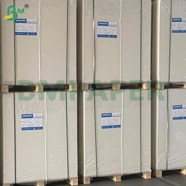 High Temperature Resistant Silicone Coated Paper Rolls for Baking