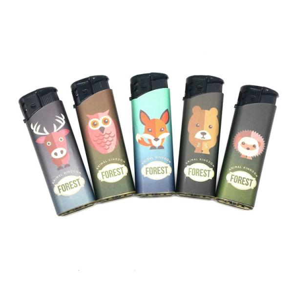 Plastic Electronic Lighter Stick with Direct Supply and Advanced Technology