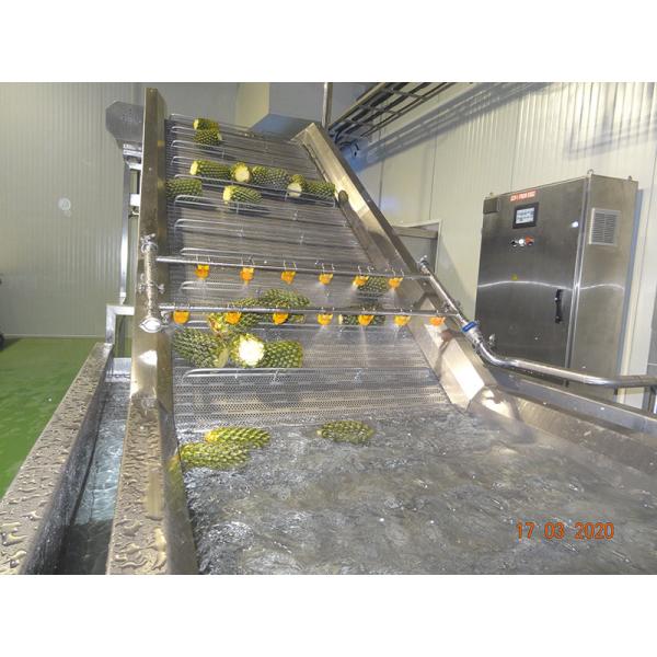 High Performance Complete Pineapple Processing Line Customized Pineapple Production Plant Machine With PLC For Fruit Industry