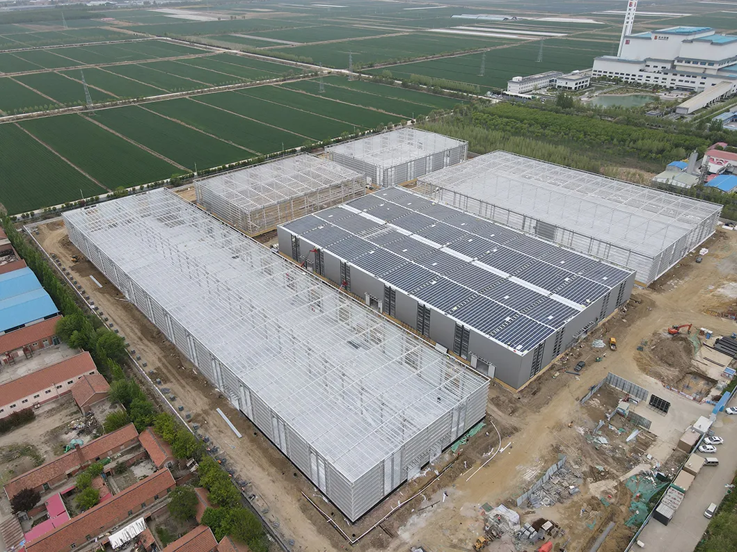 Prefabricated Light Steel Construction Building Metal Industrial Structural Workshop