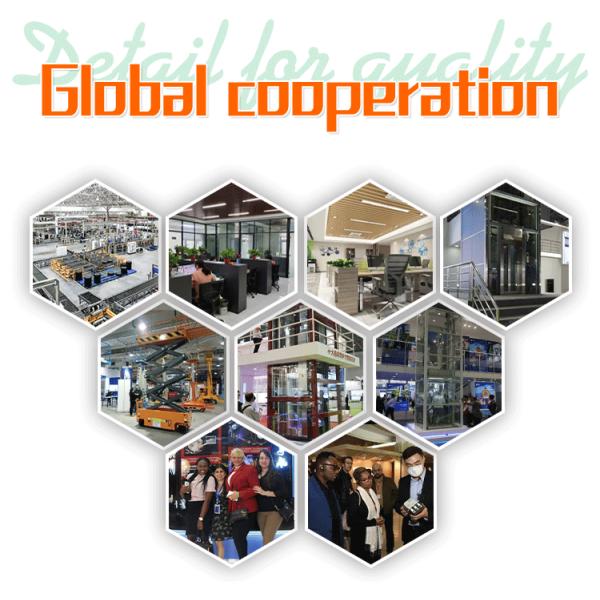 Indoor Outdoor Elevator Disabled Freight Warehouse Cargo Small Home Elevator Lift Passenger Wall Mounting Height