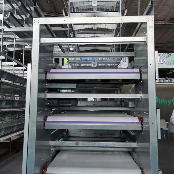 H Type Layer Cage with Hot Galvanization & Automatic Feeding for Large Poultry Farm Projects