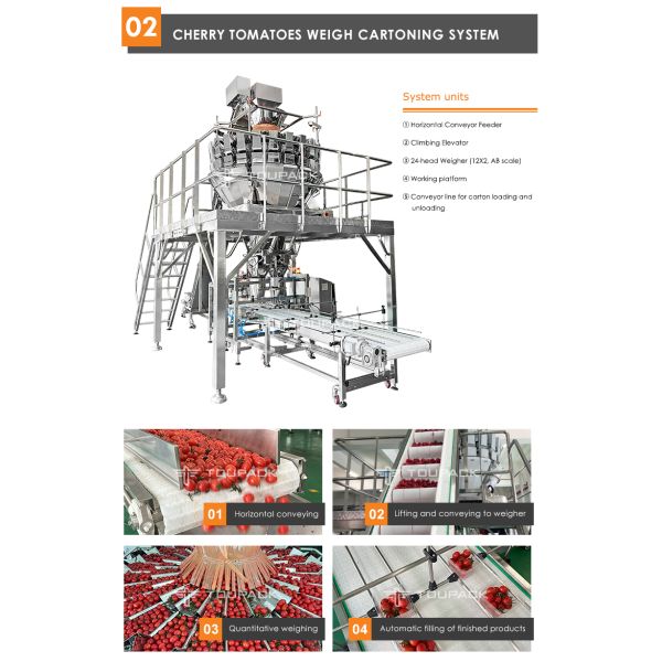 Automatic Cherries, cherry tomatoes, blueberries Fruit Clamshell Weighing & Packaging Line