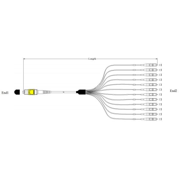12 Core 0.9mm MPO-LC Fiber Optic Patch Cords