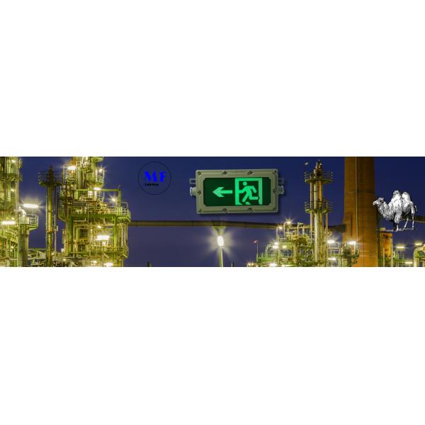 Durable Explosionproof LED Emergency Exit Light 70°C High Temp Resistant IP65 Fire-Waterproof Wf1 Anti-Corrosion For Underground Shopping Malls